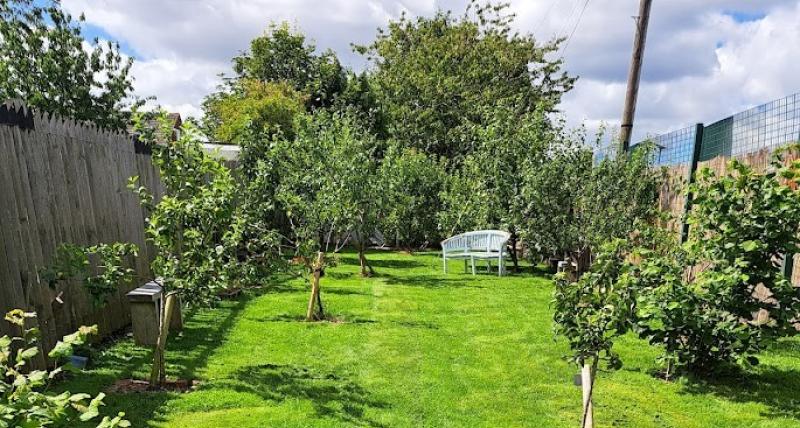 Whitley Bay Community orchard after planting